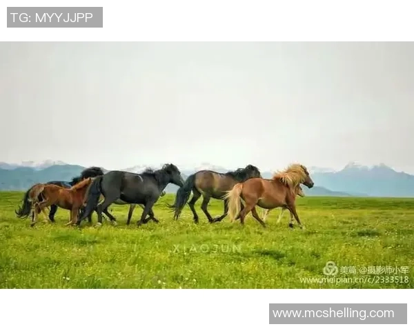 沥木与群马温泉的奇妙对话探寻自然与人文的完美融合